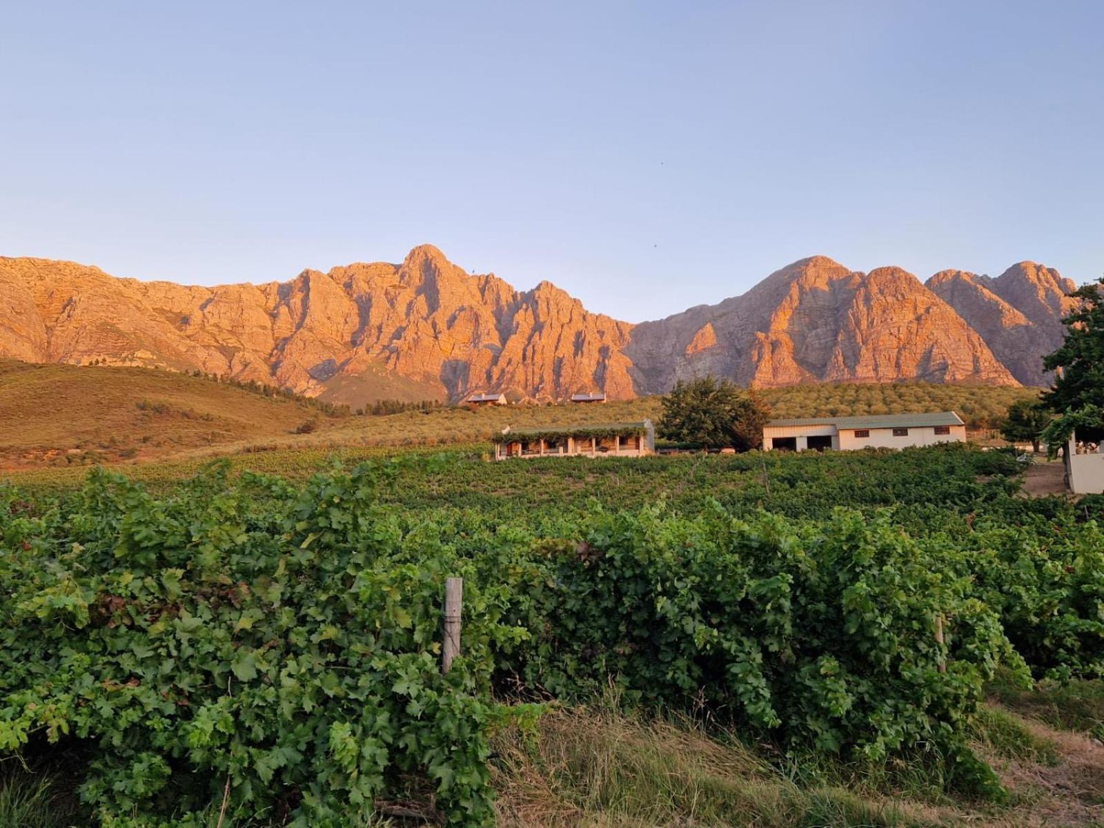 Vredehoek Guest Farm Breërivier Kültér fotó