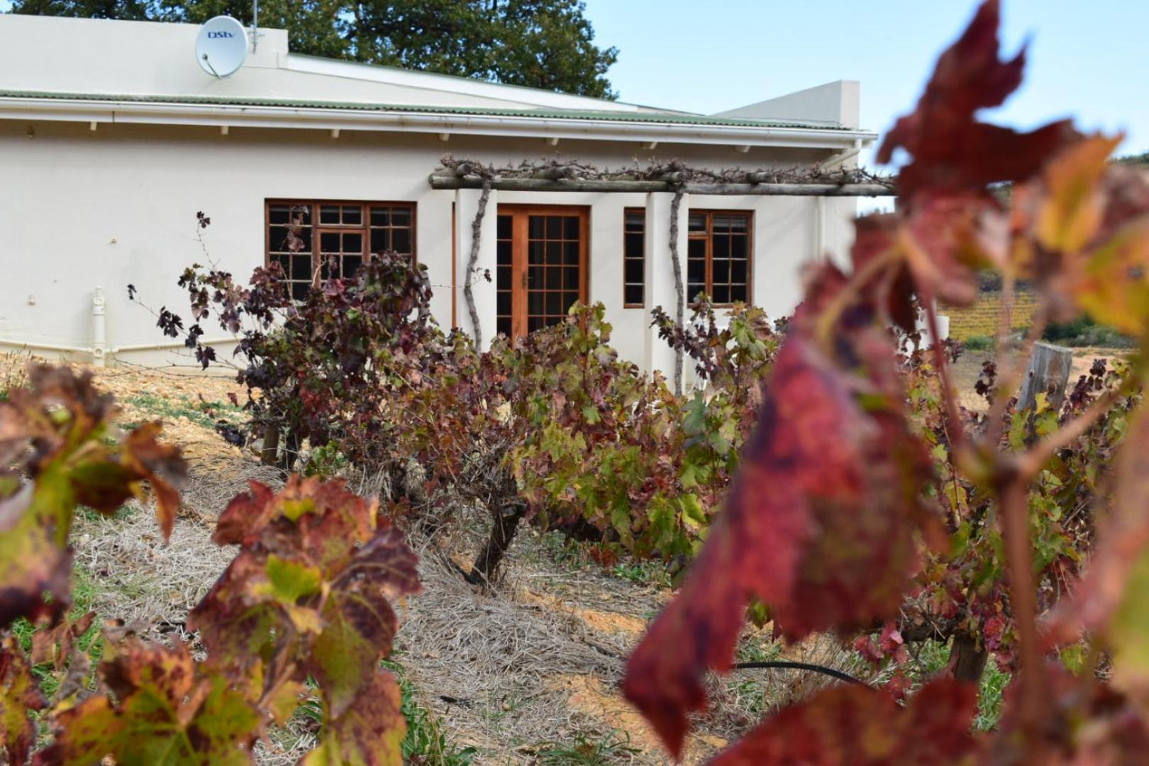 Vredehoek Guest Farm Breërivier Kültér fotó